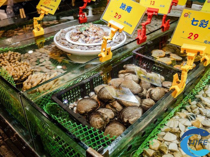 海南省渔业扶持政策