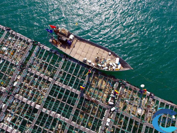 海南渔业发展现状与展望