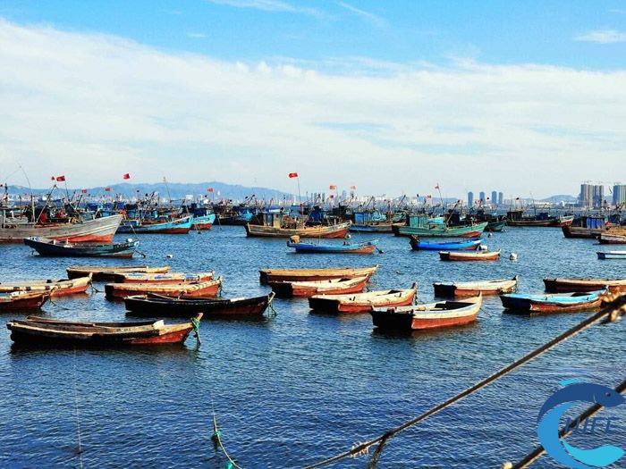 海南省休闲渔业发展规划的具体实施计划是什么