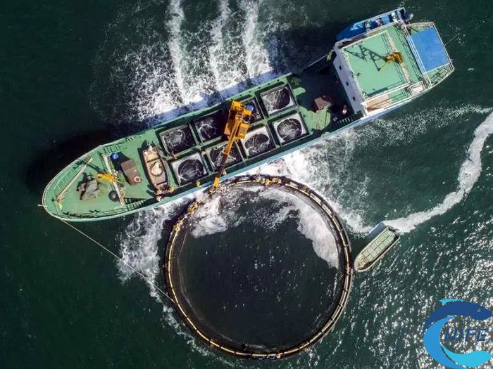 海南省渔业产业转型升级措施有哪些？