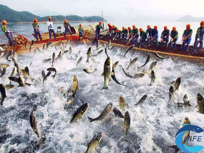 海南省休闲渔业项目的发展对环境有何影响