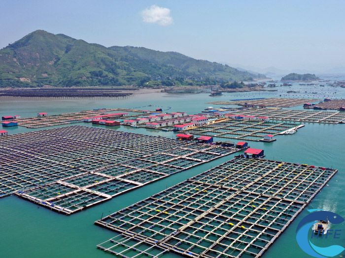 海南省关于海洋牧场的扶持政策