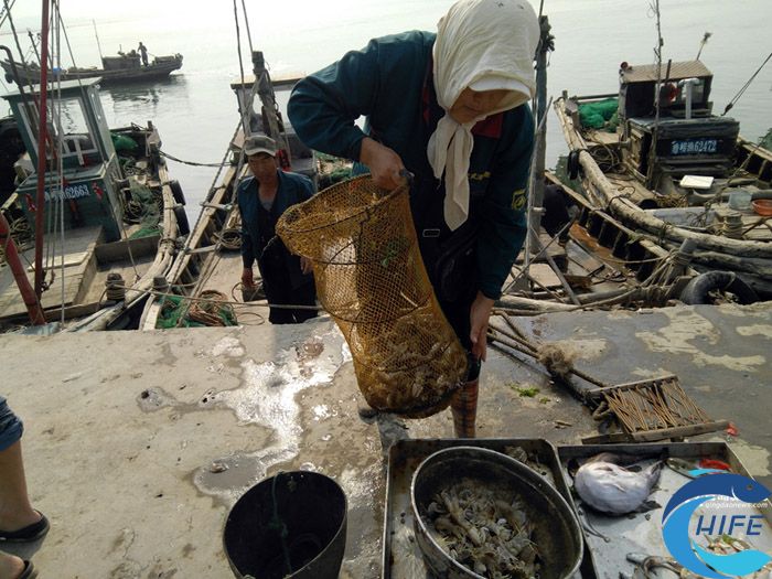 海南省渔业发展的活动和政策措施对当地经济产生了哪些积