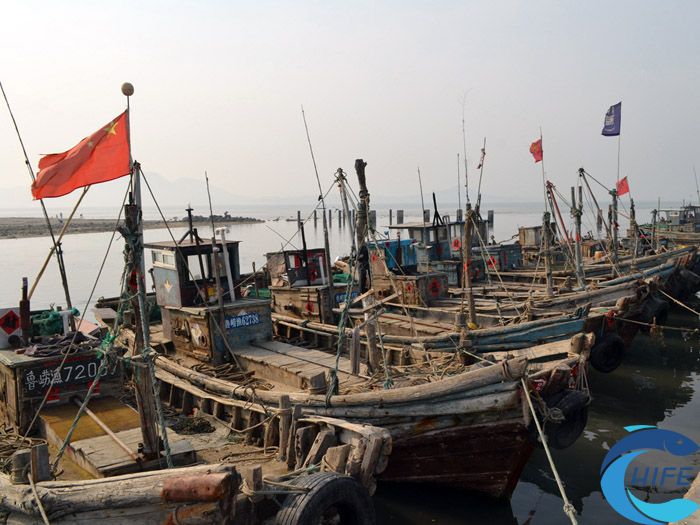 海南省对促进渔业发展举办的活动