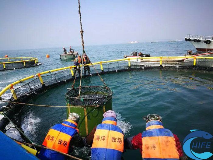 海南省举办的活动对渔业发展有何影响