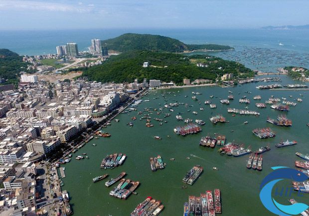 海南省在渔业国际合作中举办的活动有哪些