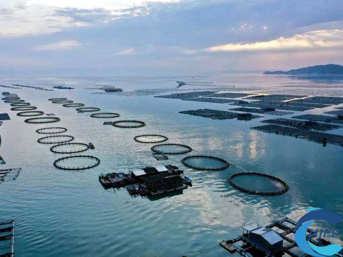海南省如何加强渔业设施装备的升级和优化
