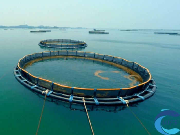 海南省在深远海养殖方面取得了哪些成就