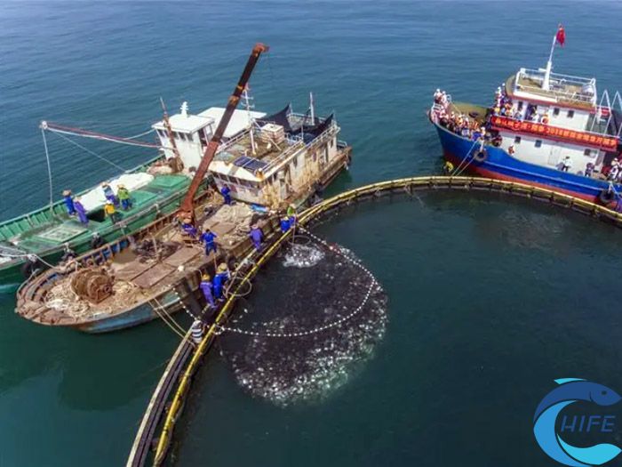 海南省在推动深远海养殖发展方面有哪些措施